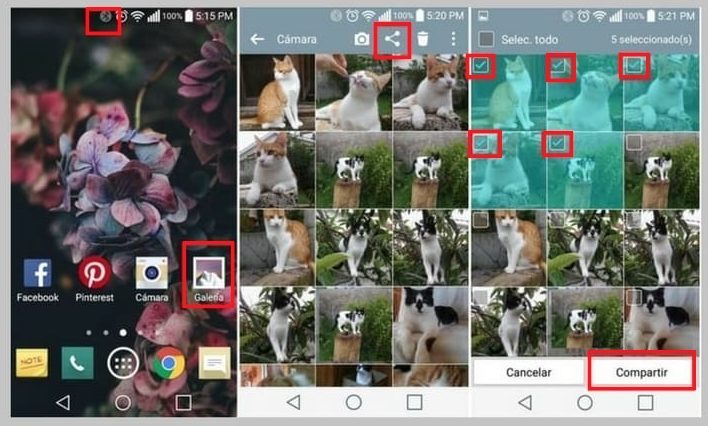 descargar fotos del celular a la pc