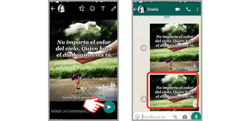 compartir una imagen de Internet por WhatsApp