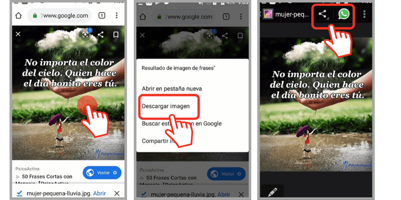 compartir una imagen de Internet por WhatsApp