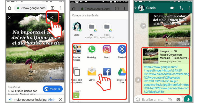 compartir una imagen de Internet por WhatsApp