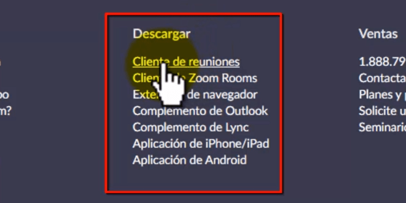 cómo instalar zoom