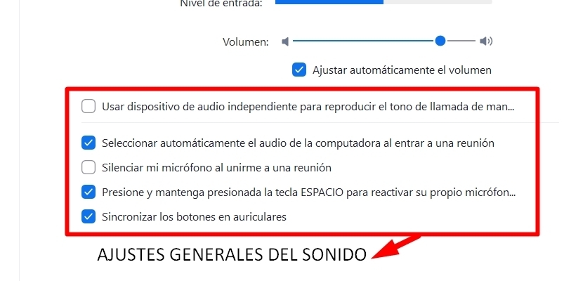 trucos para usar zoom