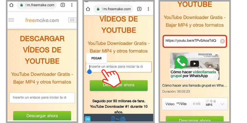 descargar un video de internet