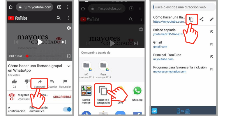 descargar un video de internet