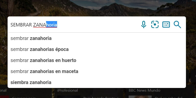 buscadores diferentes de Google